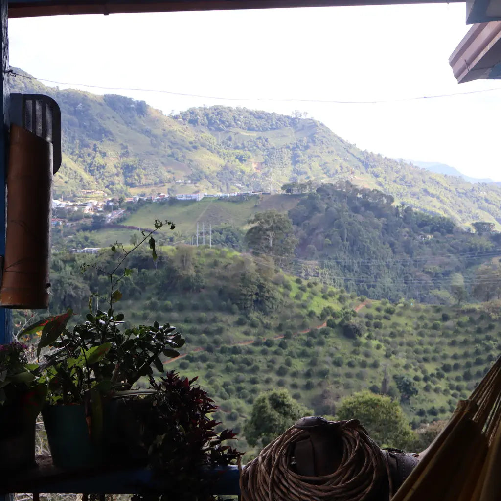 El Silencio - Filterkaffee aus Kolumbien
