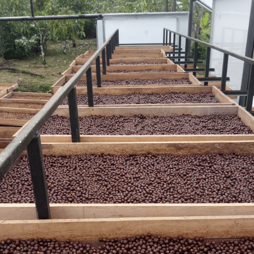 Giomar - Espresso aus Ecuador